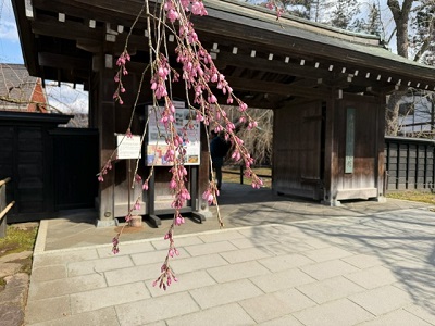 �{���̗l�q�ł��I