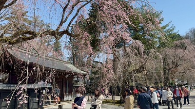 �{���̗l�q�ł�