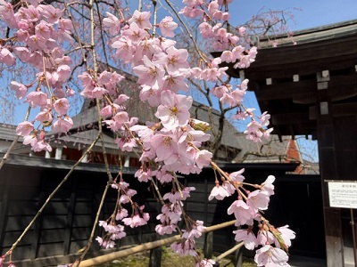 ���ɖ����S���P�T�����܂�J�ÁI