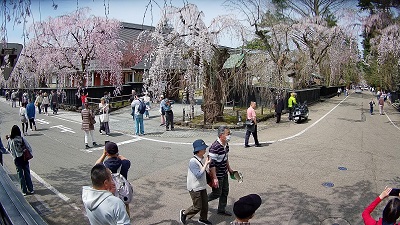 �{�������܂�J��❁