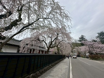 �{���̗l�q�ł��I