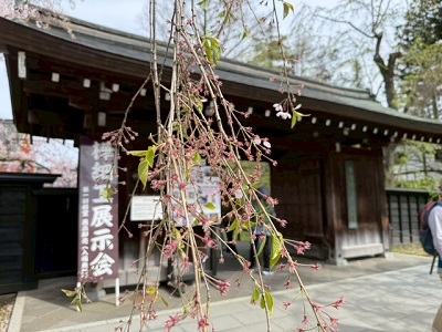 �{���̗l�q�ł�