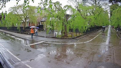 �{���̗l�q�ł�