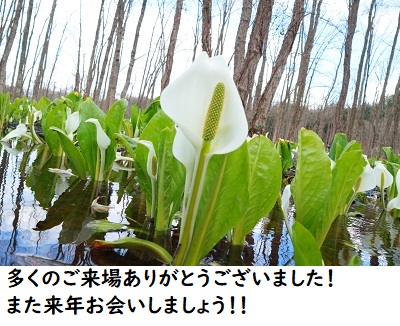 今年もありがとうございました！