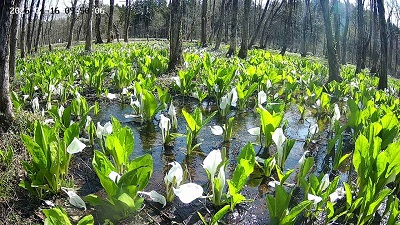 �{���̗l�q�ł��I