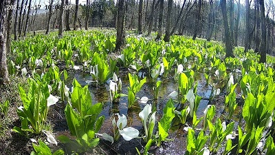 �{���̗l�q�ł��I