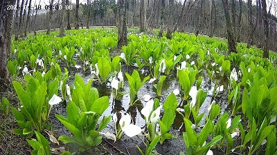 �{���̗l�q�ł��I