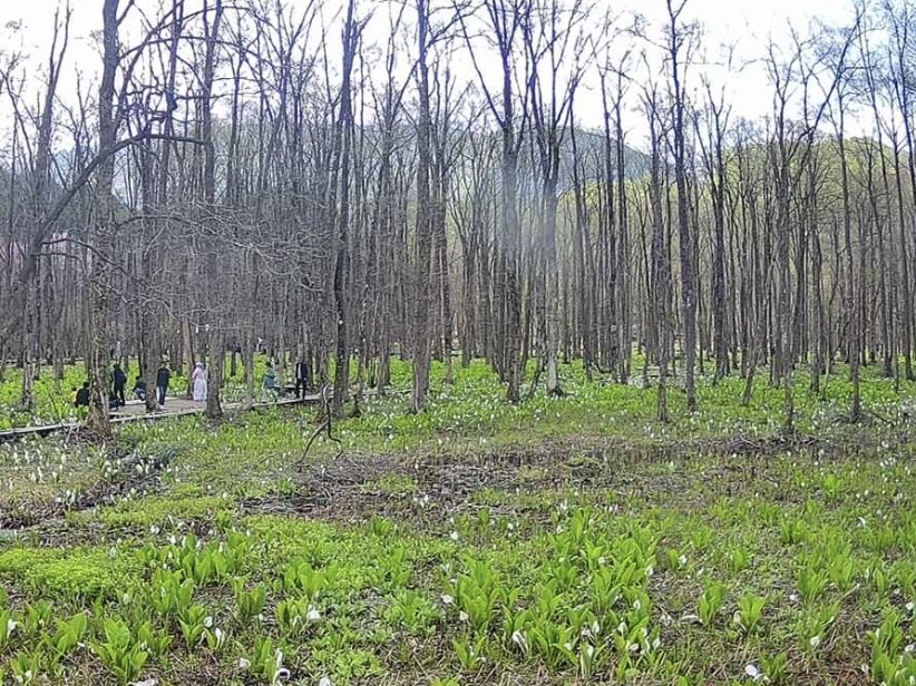 �{���̗l�q�ł��I