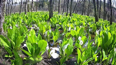 �{���̗l�q�ł��I