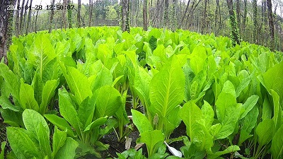 �{���ŏI���ł��I