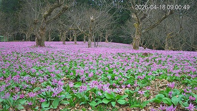 �{���̗l�q�ł��I