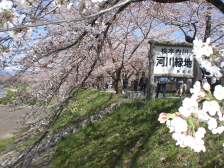 陽気をうけて