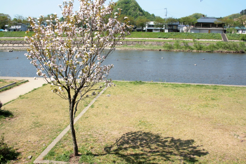 照りつける太陽