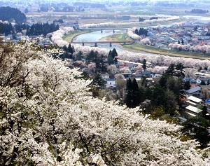 2015 角館の桜まつり