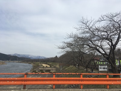 桧木内川堤　横町橋　全景