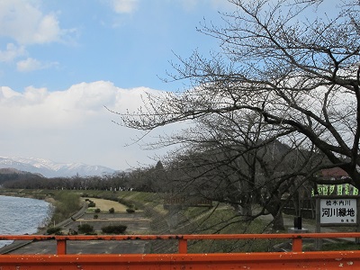 桧木内川堤　横町橋　全景