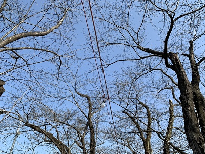電球が設置されました