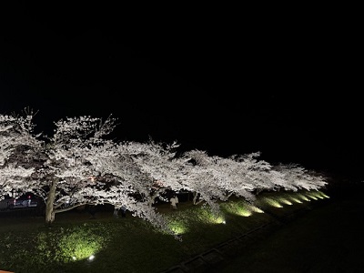 ���C�g�A�b�v�̗l�q�ł��I