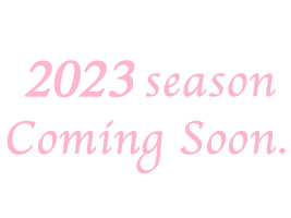 2023N̉ԋIsy݂ɁI