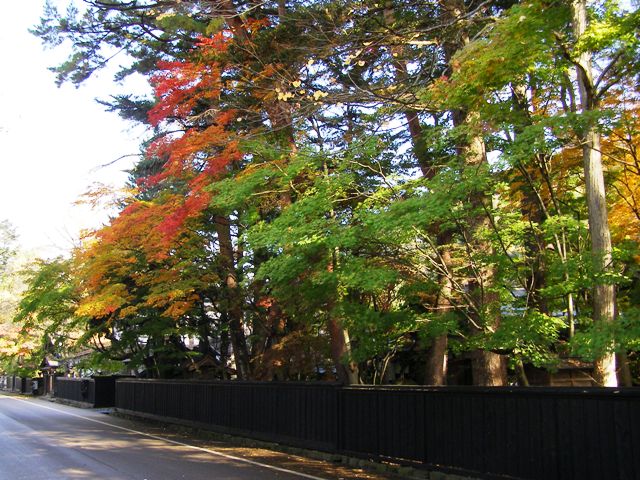 武家屋敷通りは紅葉が見頃です