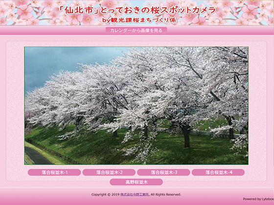桜・かたくり開花シーズンのライブ配信カメラ画像を期間限定公開！