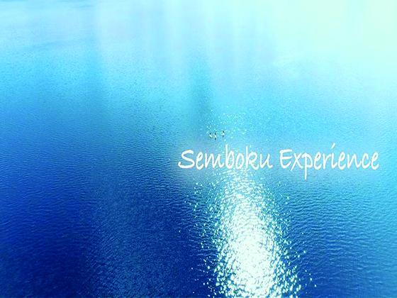 観光体験動画「Semboku Experience」公開記念キャンペーン企画！